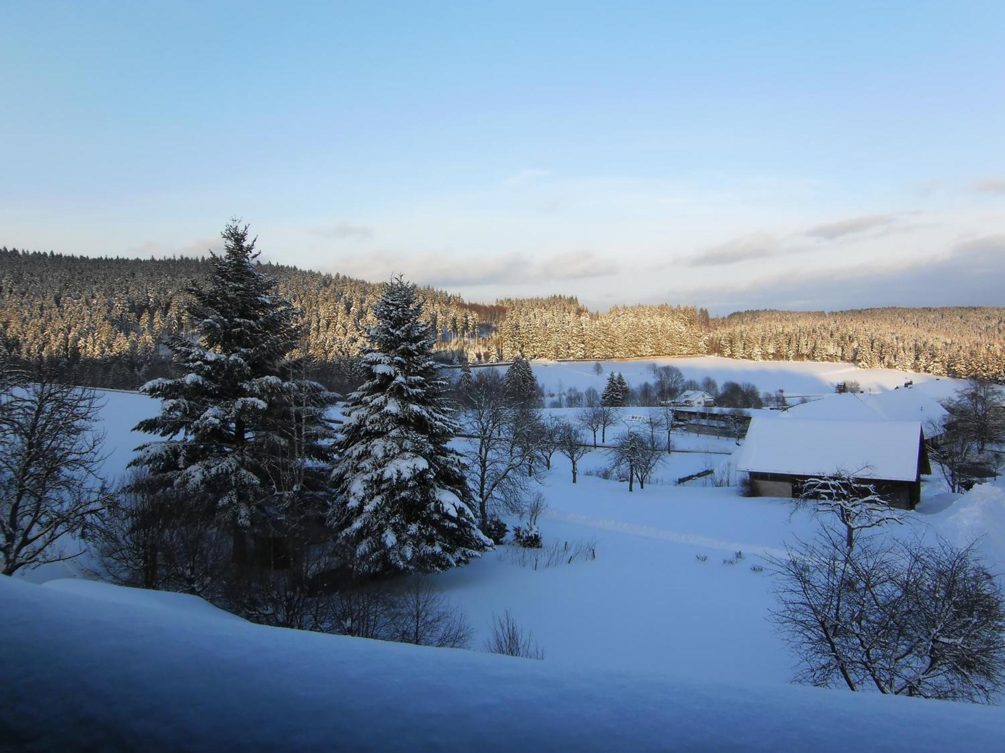 Landhotel Bartlehof Schluchsee Exterior photo